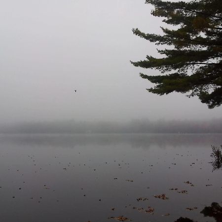 Black Lake Cabins Torrance Экстерьер фото
