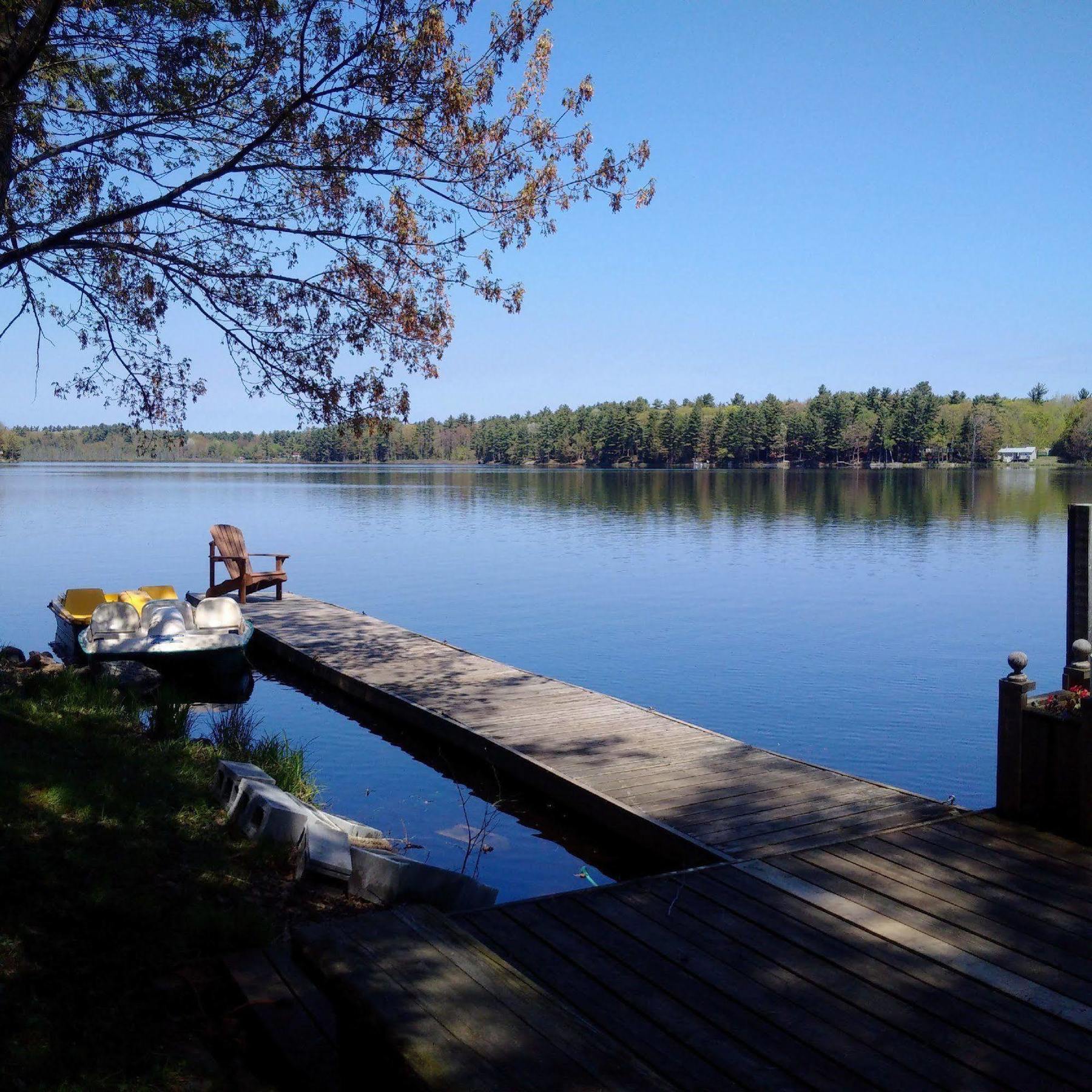 Black Lake Cabins Torrance Экстерьер фото