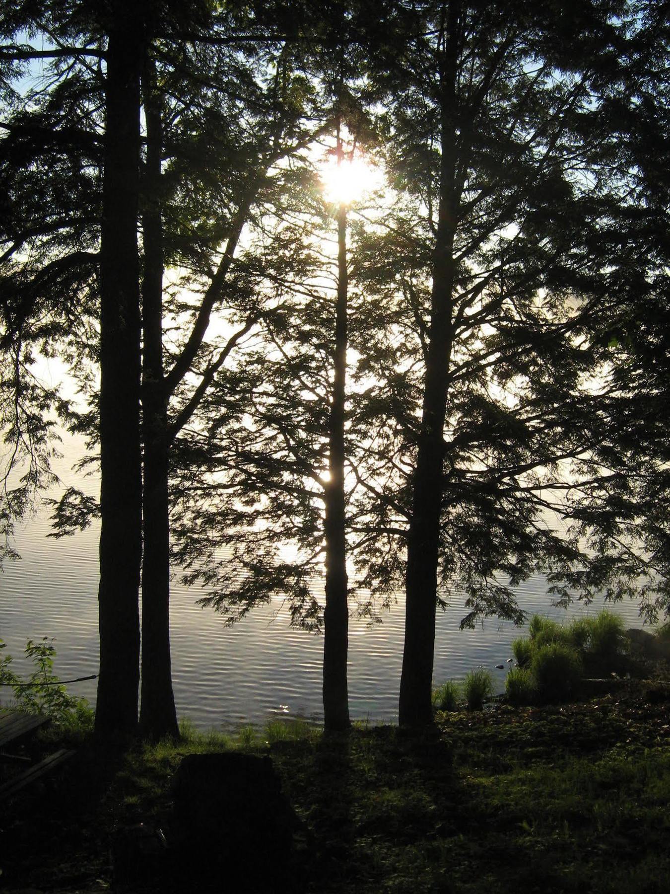 Black Lake Cabins Torrance Экстерьер фото