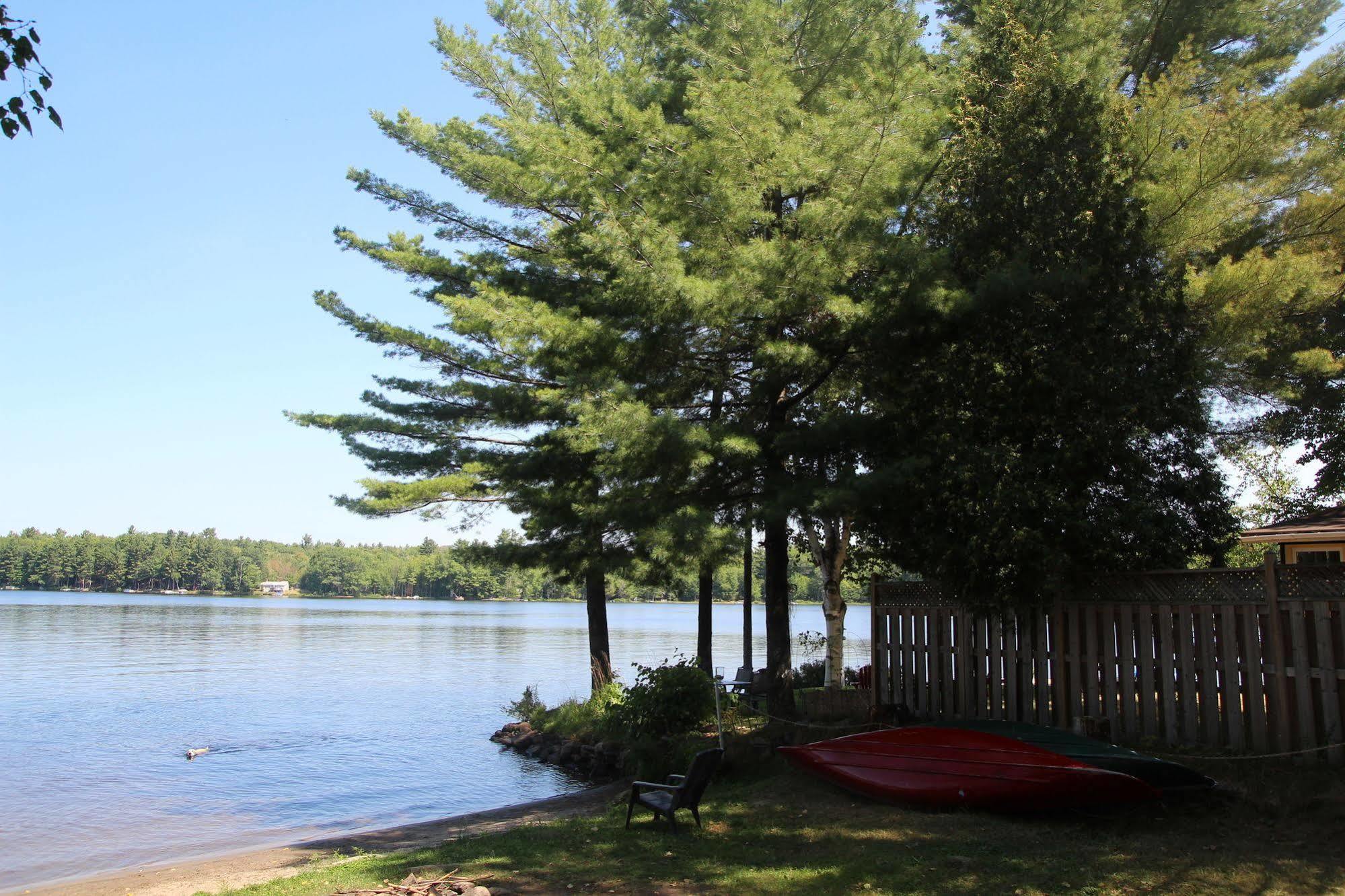 Black Lake Cabins Torrance Экстерьер фото